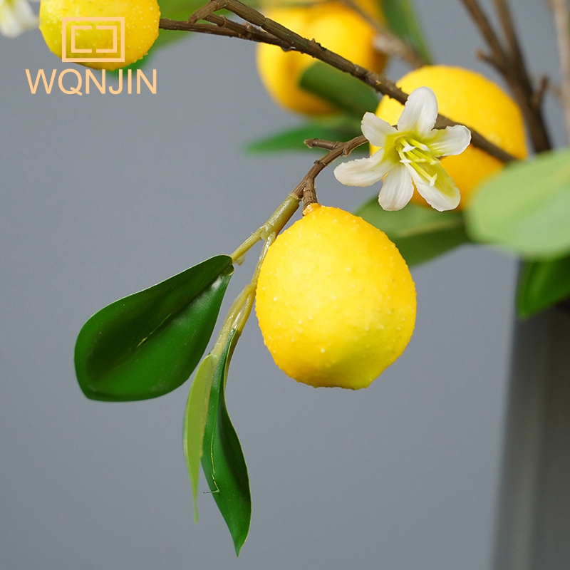 Meyve Simülasyonu Ile Limon Da - Desk Setup Photo incelemesi ve fiyatı